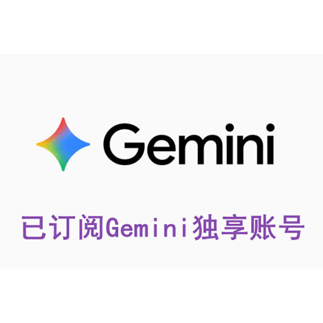 Gemini Pro 独享账号（含 Google One 订阅 12 个月）